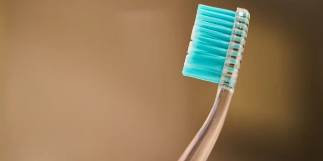 Bamboo Toothbrushes: The Future Of Eco-Friendly Dental Products?