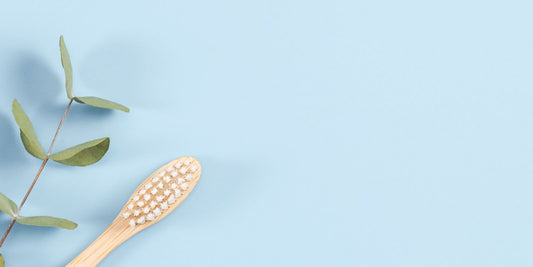 How Long Does a Bamboo Toothbrush Last?