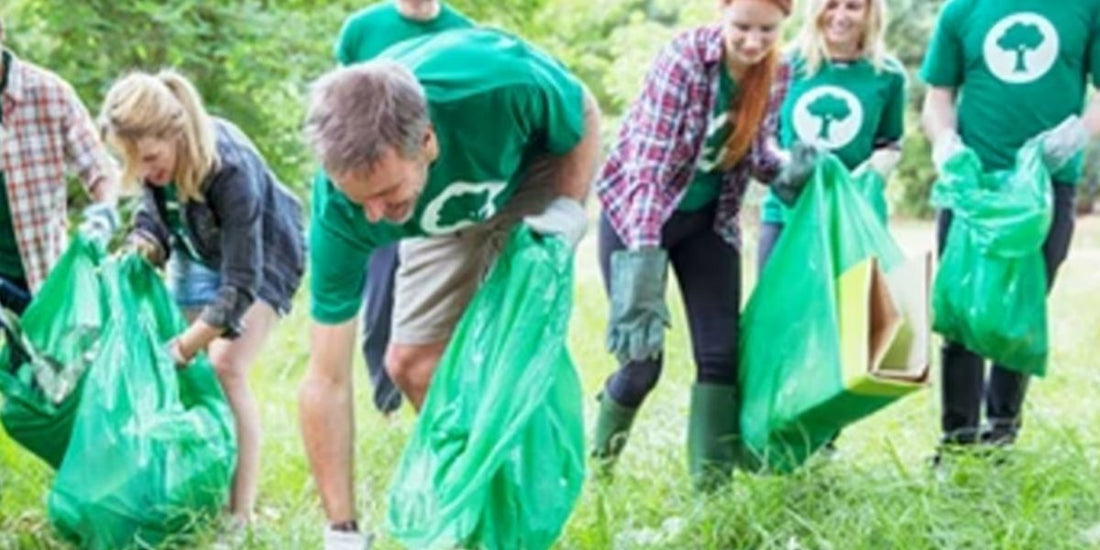 Looking for a breath of Fresh air in your store