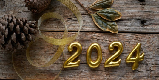 6 Sustainable New Year's Resolutions for 2024