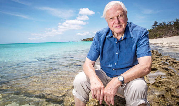 David Attenborough says that we are at a "crisis moment" for the planet