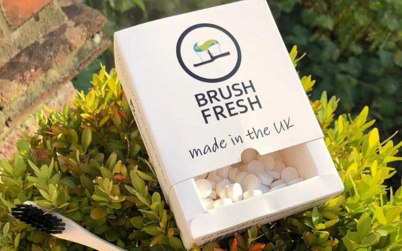 Brush Rinse Spit? Eco