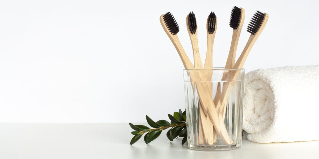 How To Store A Bamboo Toothbrush