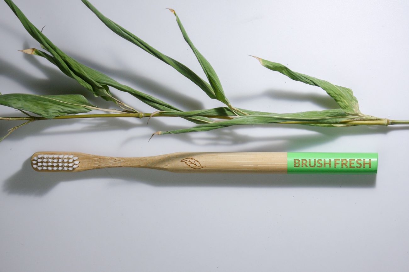 biodegradable bamboo toothbrush 